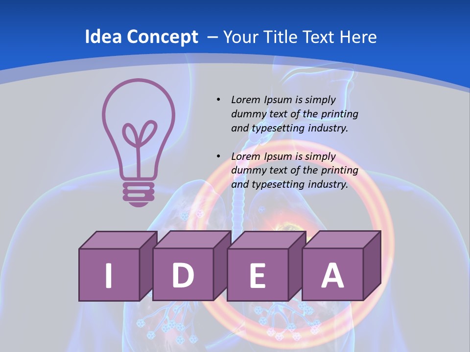 The Stomach Is Shown With A Red Circle Around It PowerPoint Template