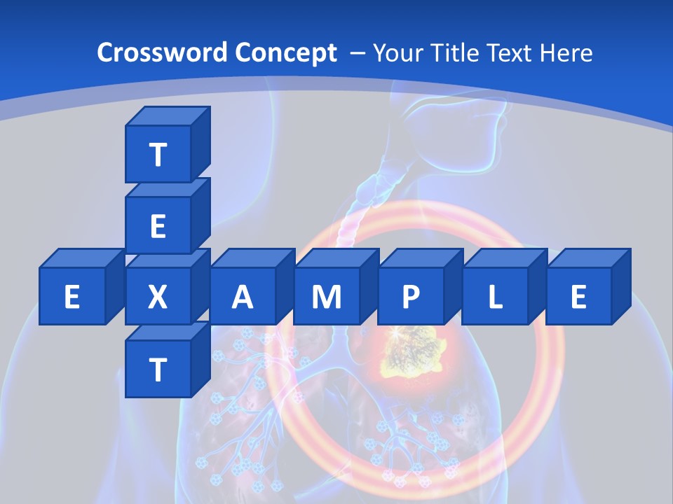 The Stomach Is Shown With A Red Circle Around It PowerPoint Template