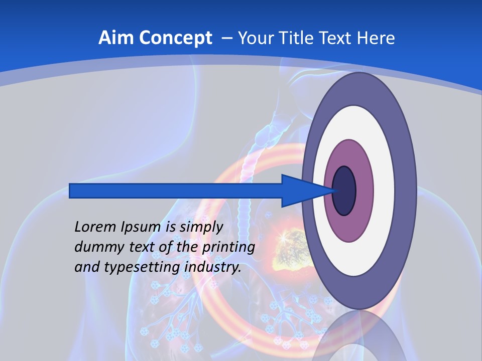 The Stomach Is Shown With A Red Circle Around It PowerPoint Template