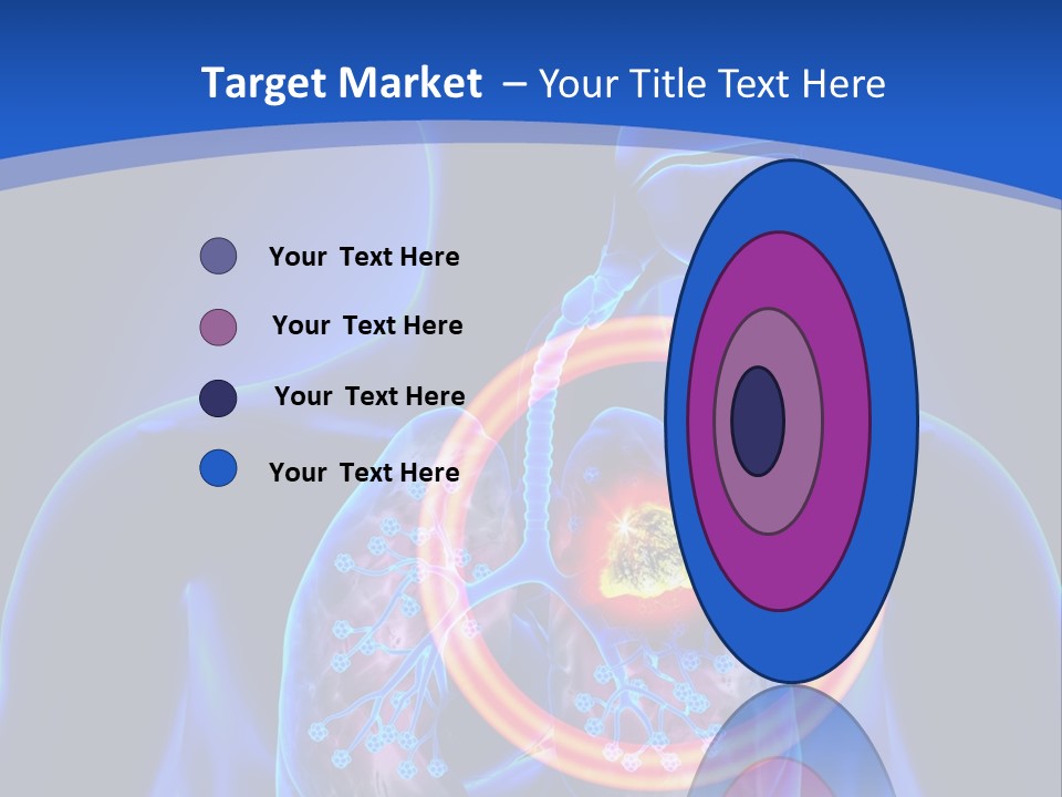 The Stomach Is Shown With A Red Circle Around It PowerPoint Template