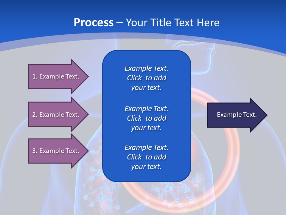 The Stomach Is Shown With A Red Circle Around It PowerPoint Template
