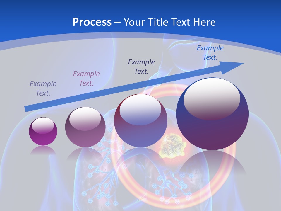 The Stomach Is Shown With A Red Circle Around It PowerPoint Template