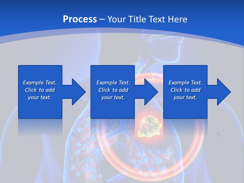The Stomach Is Shown With A Red Circle Around It PowerPoint Template