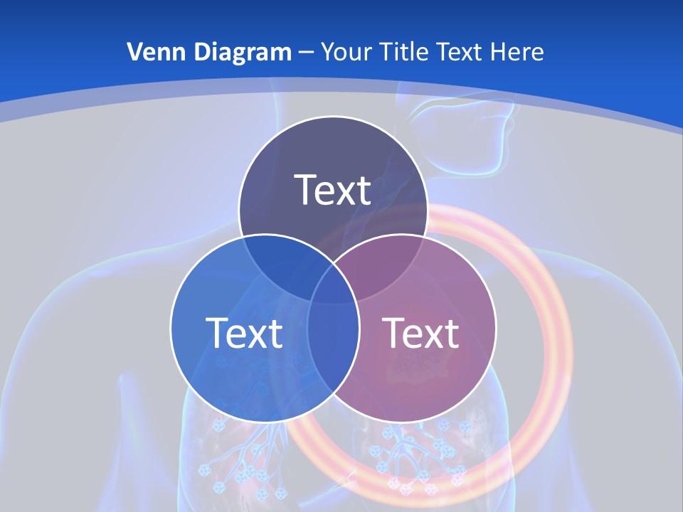 The Stomach Is Shown With A Red Circle Around It PowerPoint Template