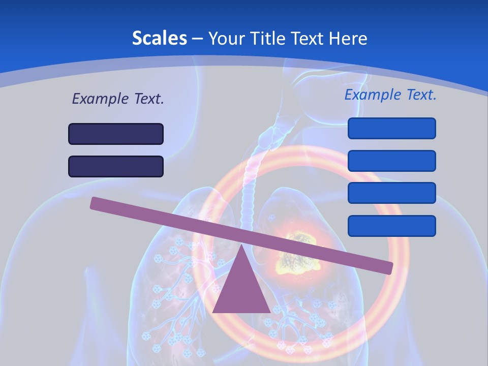 The Stomach Is Shown With A Red Circle Around It PowerPoint Template