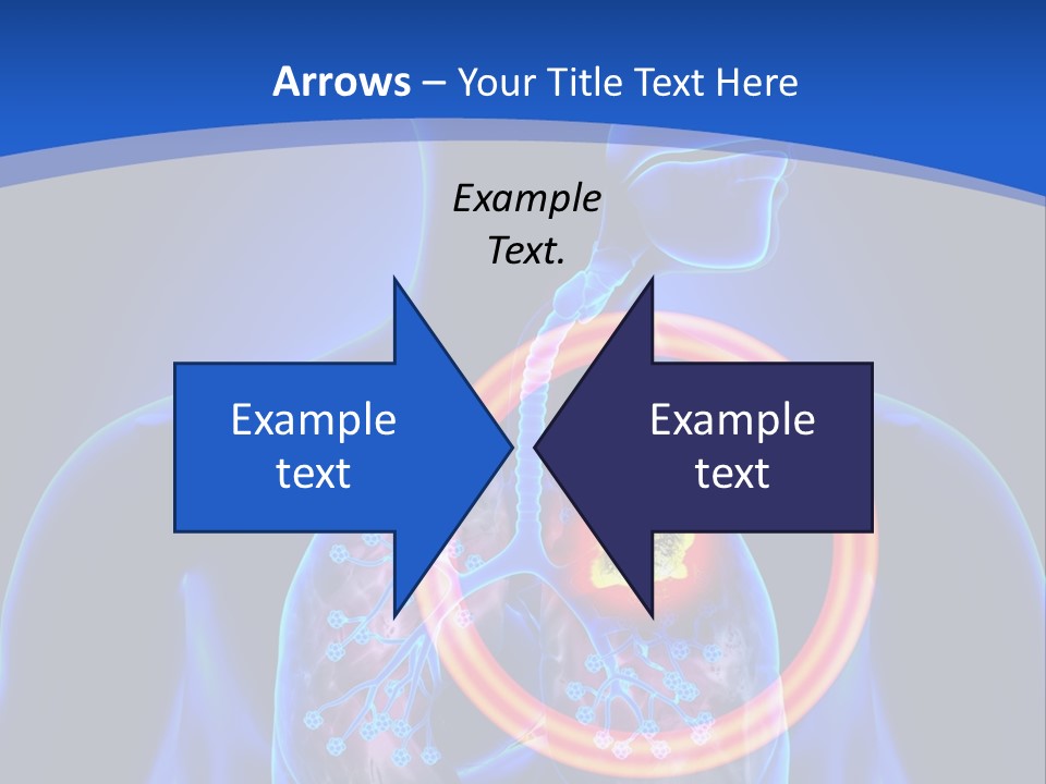 The Stomach Is Shown With A Red Circle Around It PowerPoint Template