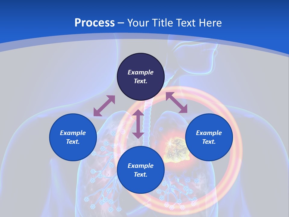 The Stomach Is Shown With A Red Circle Around It PowerPoint Template