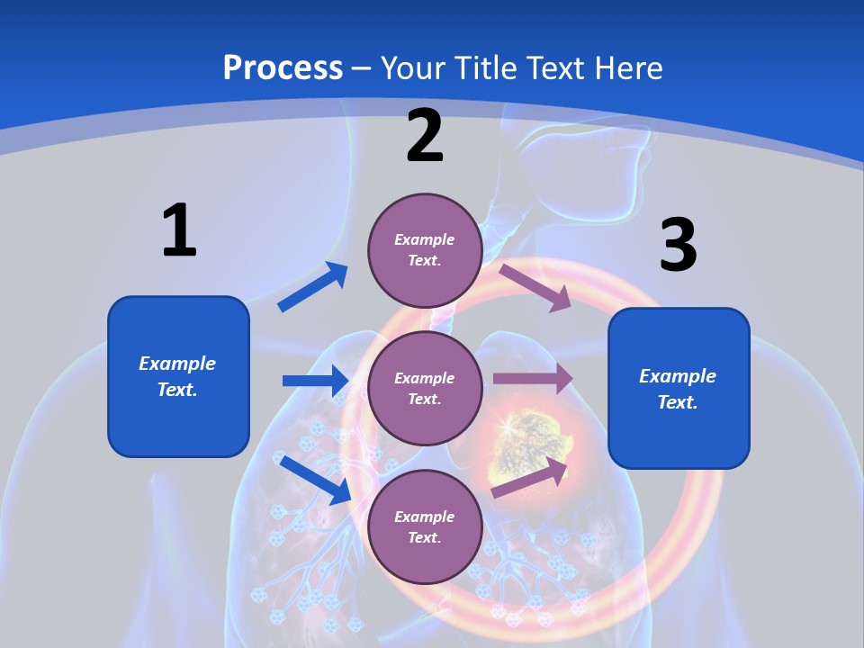 The Stomach Is Shown With A Red Circle Around It PowerPoint Template