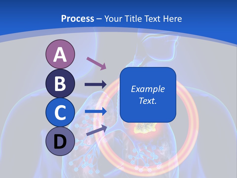 The Stomach Is Shown With A Red Circle Around It PowerPoint Template