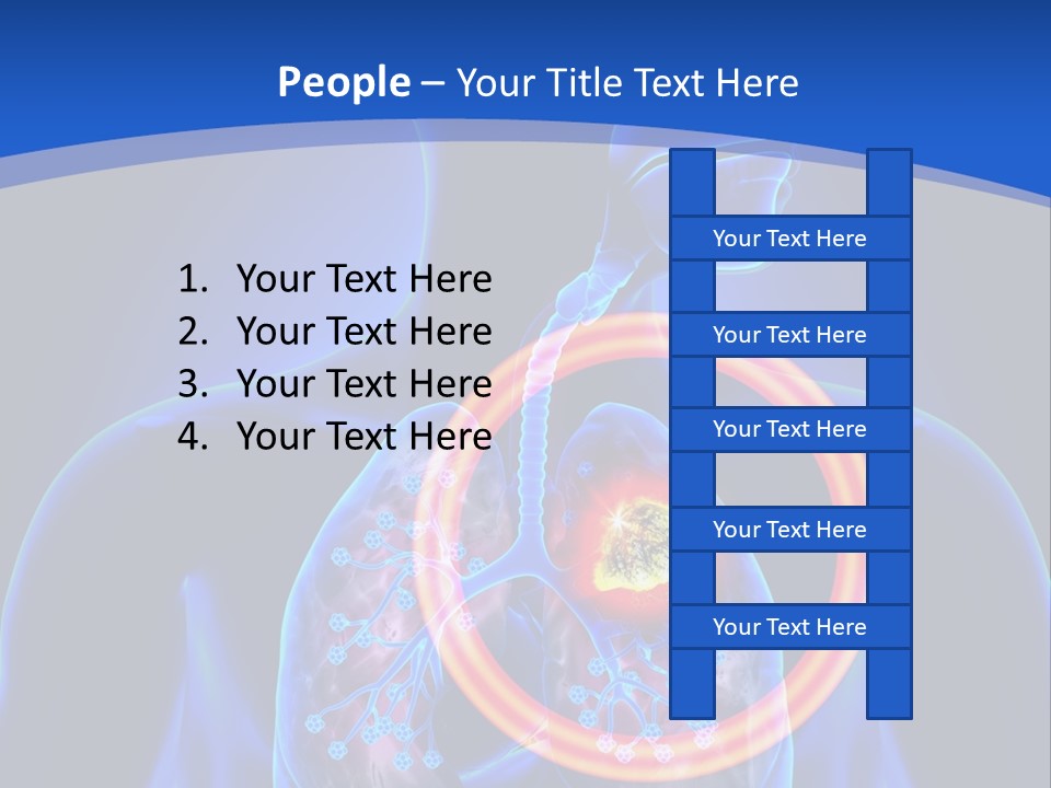 The Stomach Is Shown With A Red Circle Around It PowerPoint Template