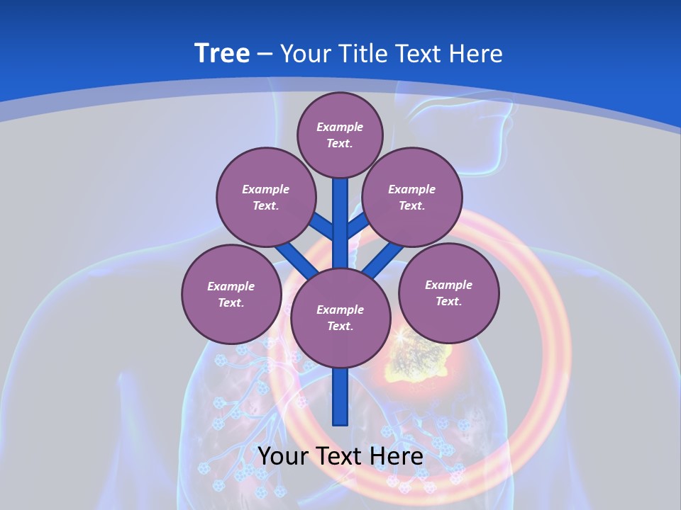 The Stomach Is Shown With A Red Circle Around It PowerPoint Template