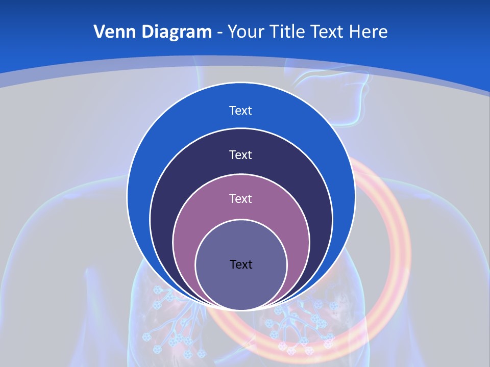 The Stomach Is Shown With A Red Circle Around It PowerPoint Template
