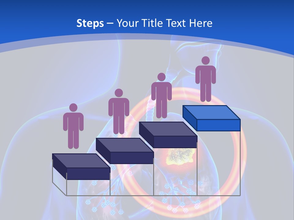 The Stomach Is Shown With A Red Circle Around It PowerPoint Template