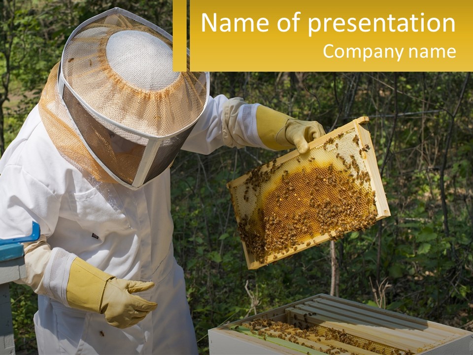 A Man In A Bee Suit Holding A Beehive PowerPoint Template