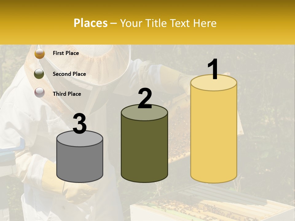 A Man In A Bee Suit Holding A Beehive PowerPoint Template