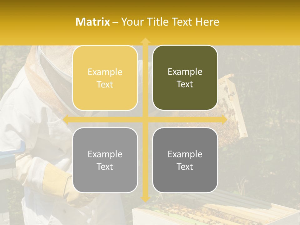 A Man In A Bee Suit Holding A Beehive PowerPoint Template