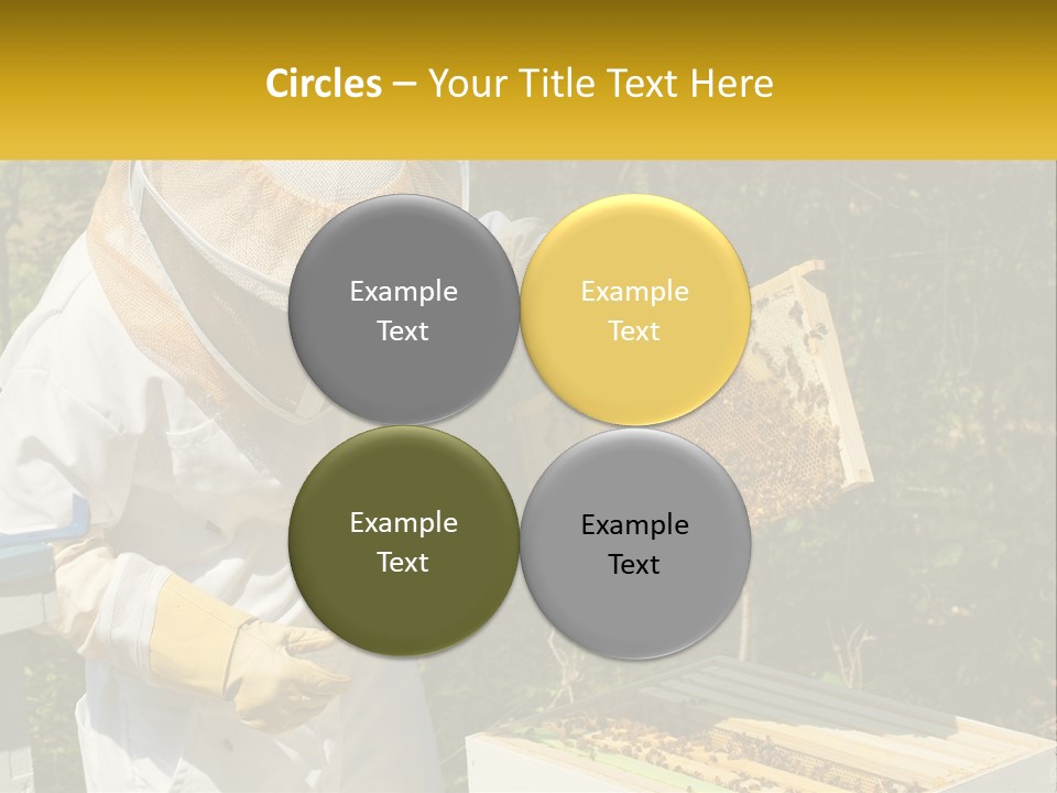 A Man In A Bee Suit Holding A Beehive PowerPoint Template