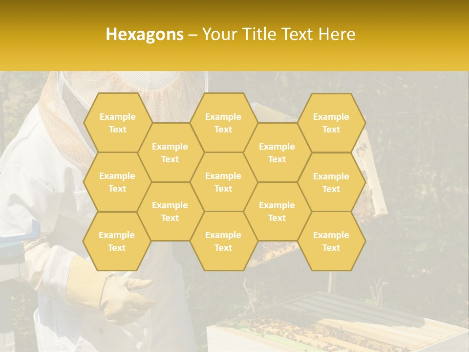 A Man In A Bee Suit Holding A Beehive PowerPoint Template