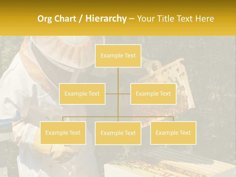 A Man In A Bee Suit Holding A Beehive PowerPoint Template