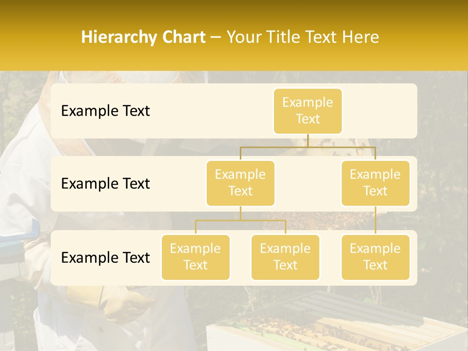 A Man In A Bee Suit Holding A Beehive PowerPoint Template