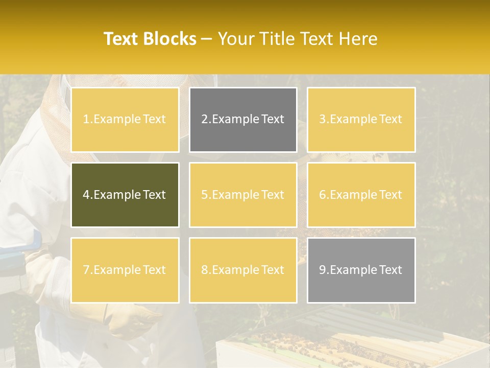 A Man In A Bee Suit Holding A Beehive PowerPoint Template