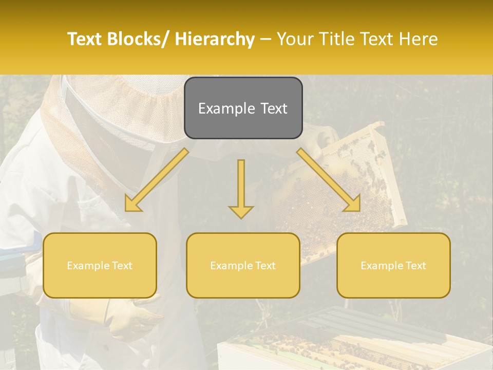 A Man In A Bee Suit Holding A Beehive PowerPoint Template