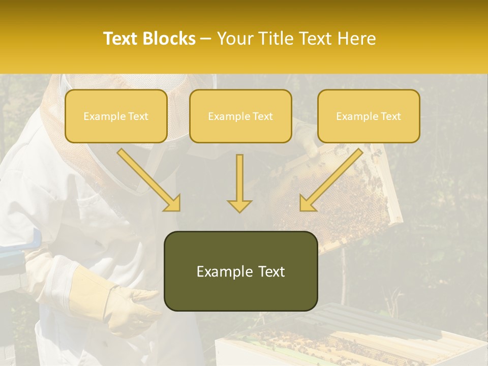 A Man In A Bee Suit Holding A Beehive PowerPoint Template