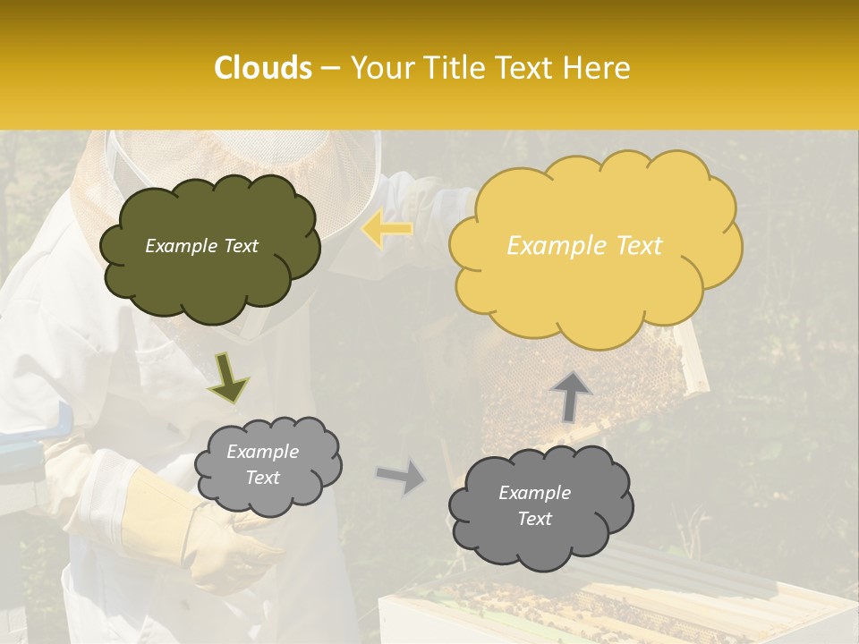 A Man In A Bee Suit Holding A Beehive PowerPoint Template