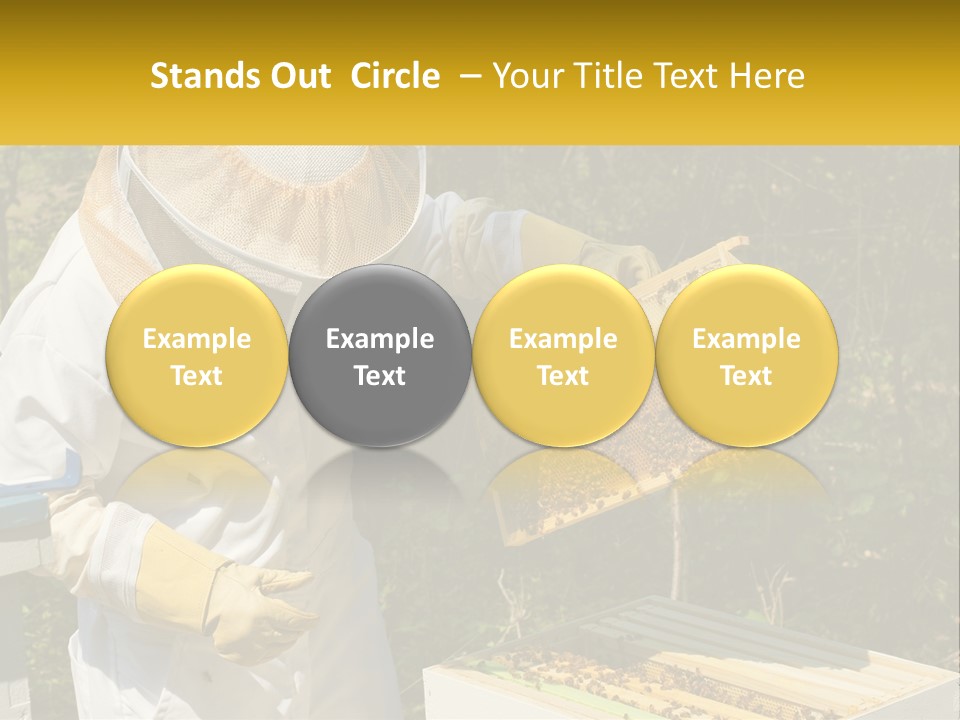 A Man In A Bee Suit Holding A Beehive PowerPoint Template