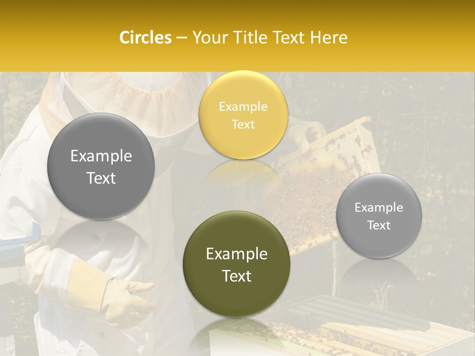 A Man In A Bee Suit Holding A Beehive PowerPoint Template