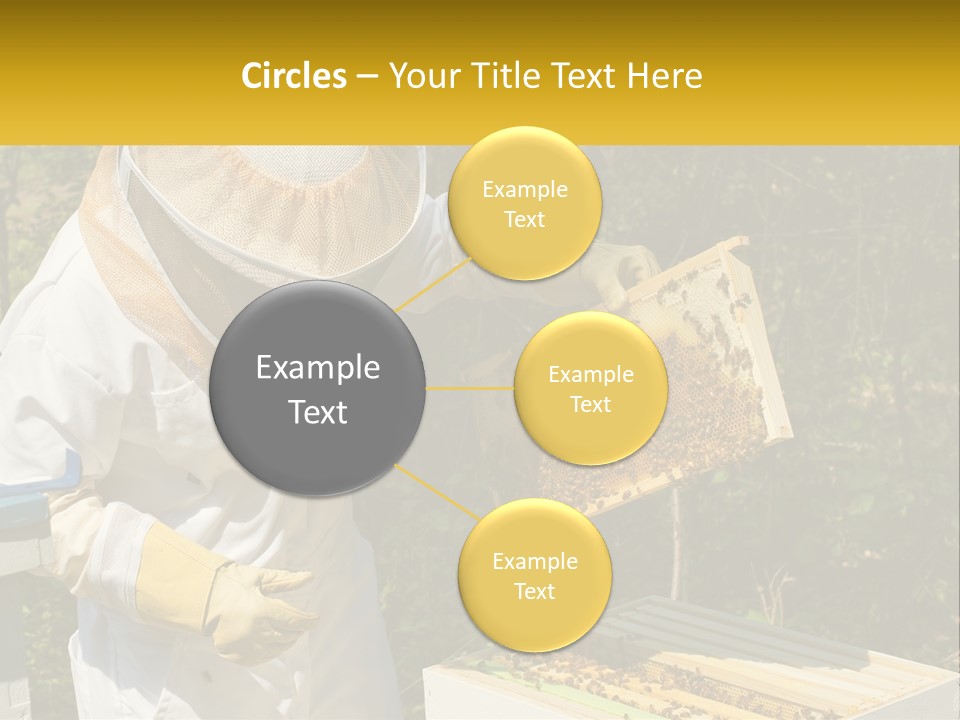 A Man In A Bee Suit Holding A Beehive PowerPoint Template