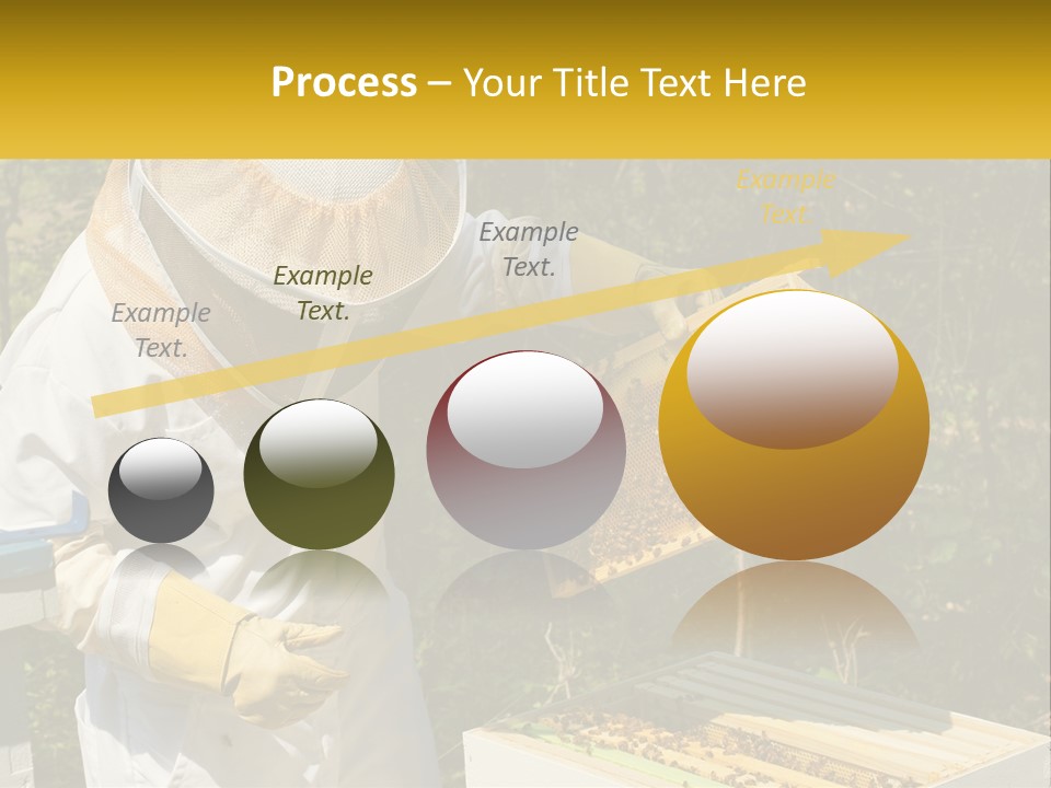 A Man In A Bee Suit Holding A Beehive PowerPoint Template