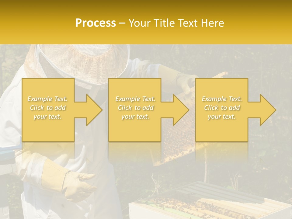 A Man In A Bee Suit Holding A Beehive PowerPoint Template