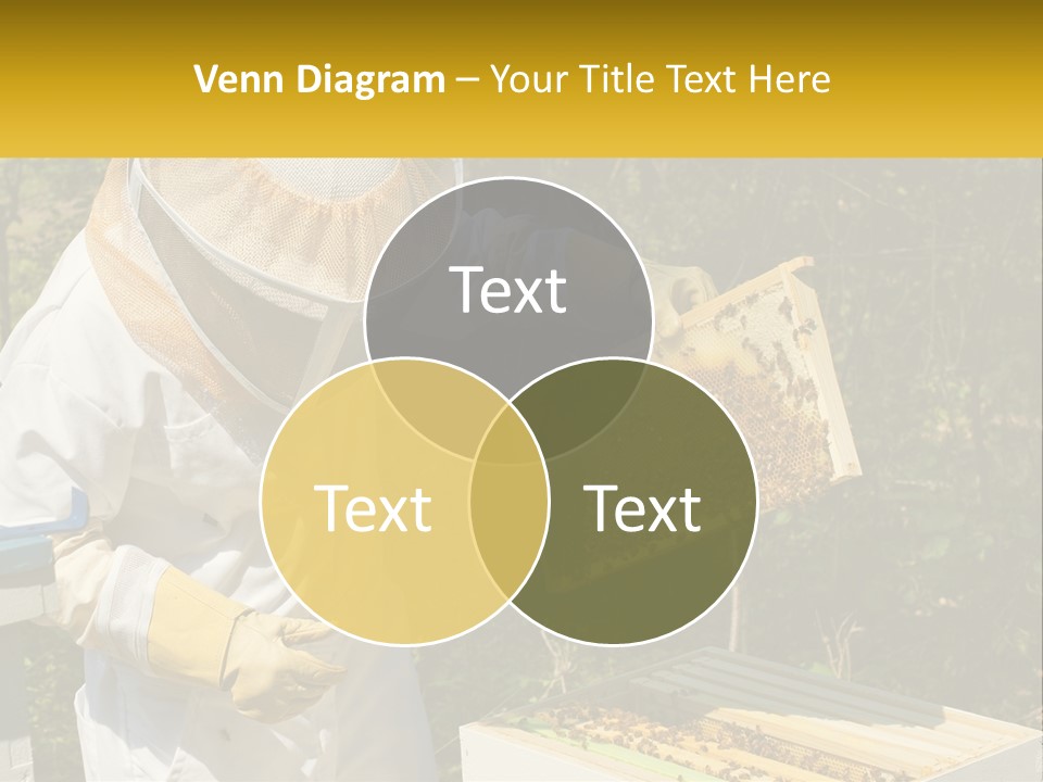 A Man In A Bee Suit Holding A Beehive PowerPoint Template