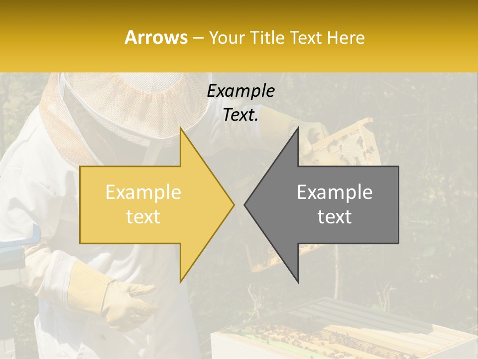 A Man In A Bee Suit Holding A Beehive PowerPoint Template