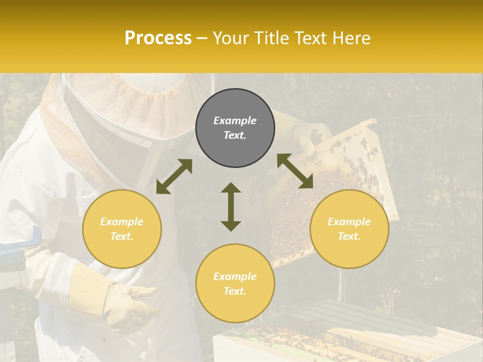 A Man In A Bee Suit Holding A Beehive PowerPoint Template