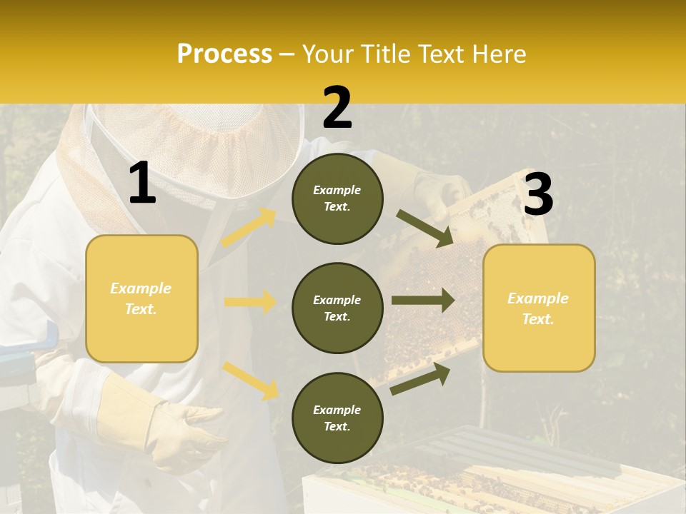 A Man In A Bee Suit Holding A Beehive PowerPoint Template