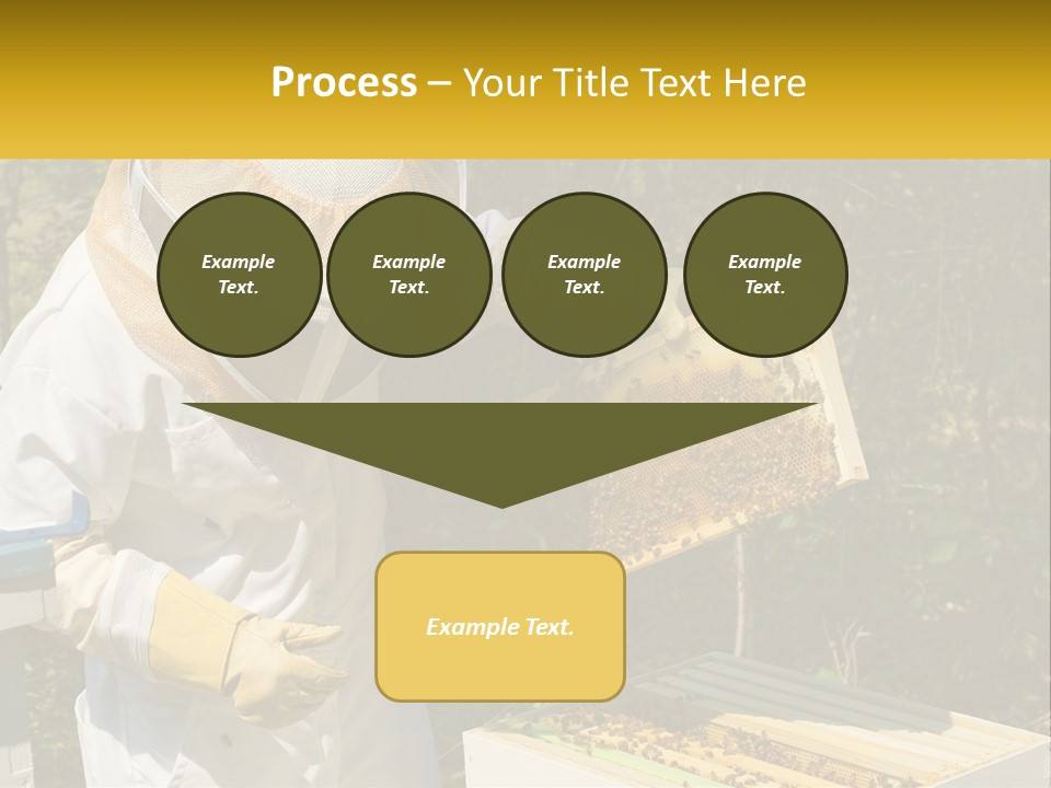 A Man In A Bee Suit Holding A Beehive PowerPoint Template