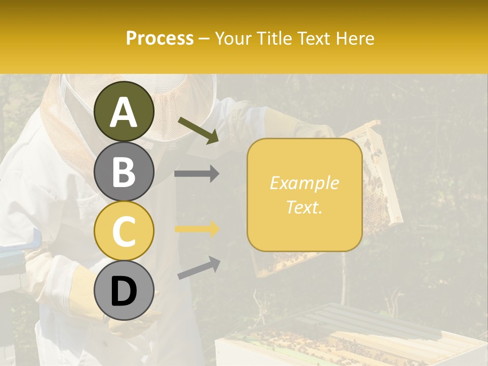 A Man In A Bee Suit Holding A Beehive PowerPoint Template