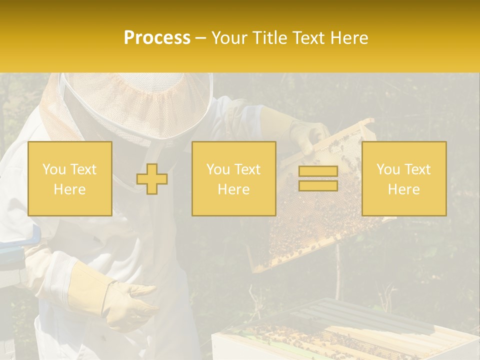 A Man In A Bee Suit Holding A Beehive PowerPoint Template