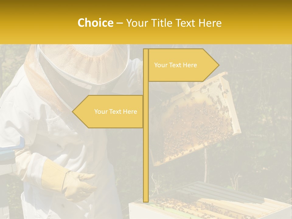 A Man In A Bee Suit Holding A Beehive PowerPoint Template