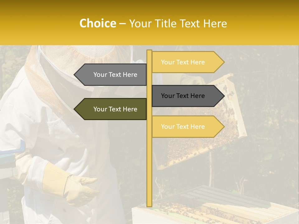 A Man In A Bee Suit Holding A Beehive PowerPoint Template