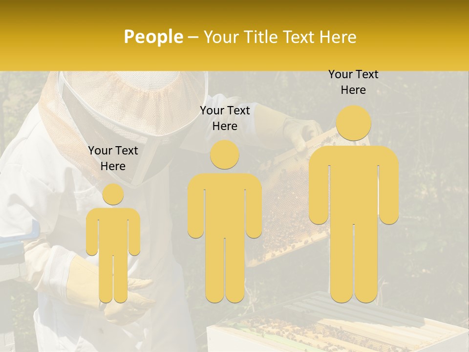 A Man In A Bee Suit Holding A Beehive PowerPoint Template
