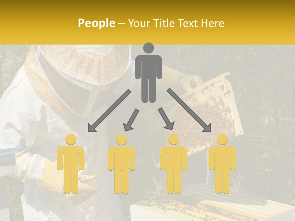 A Man In A Bee Suit Holding A Beehive PowerPoint Template