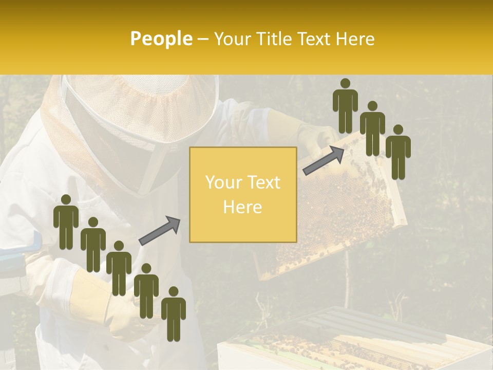 A Man In A Bee Suit Holding A Beehive PowerPoint Template
