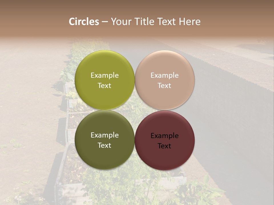 A Row Of Plants In Front Of A Brick Building PowerPoint Template