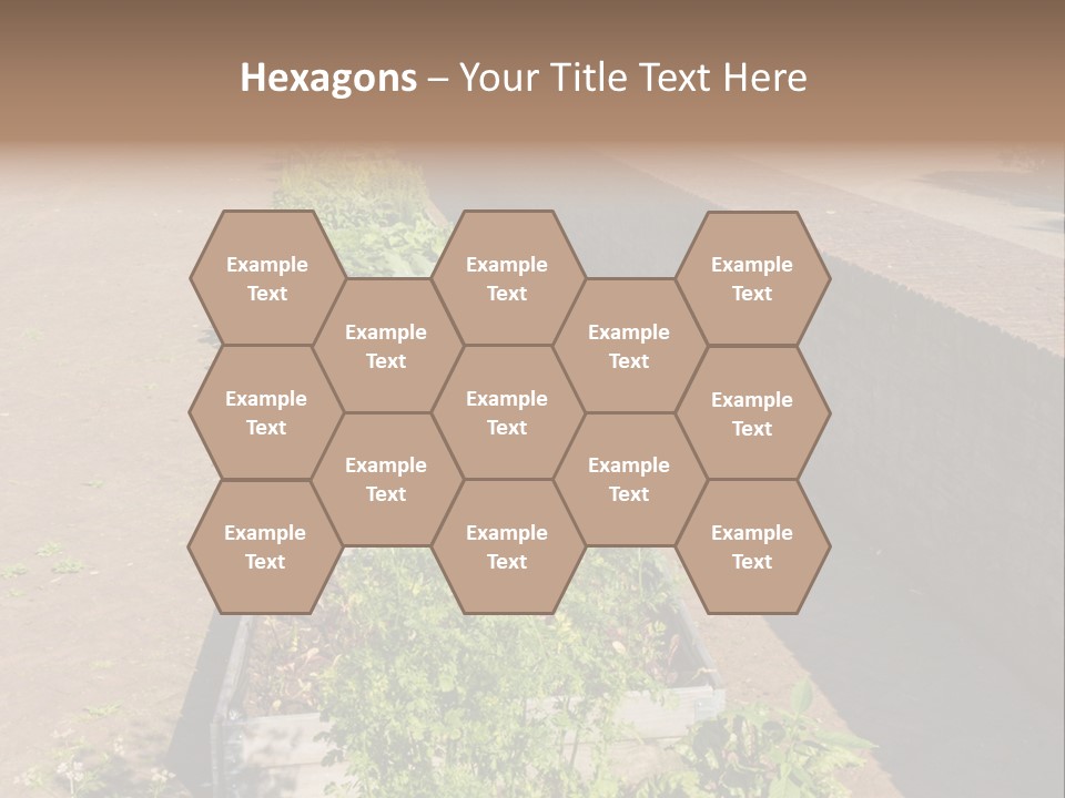 A Row Of Plants In Front Of A Brick Building PowerPoint Template