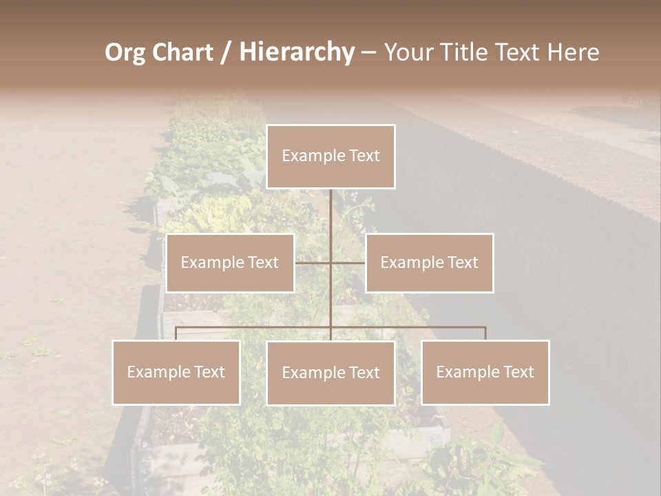 A Row Of Plants In Front Of A Brick Building PowerPoint Template