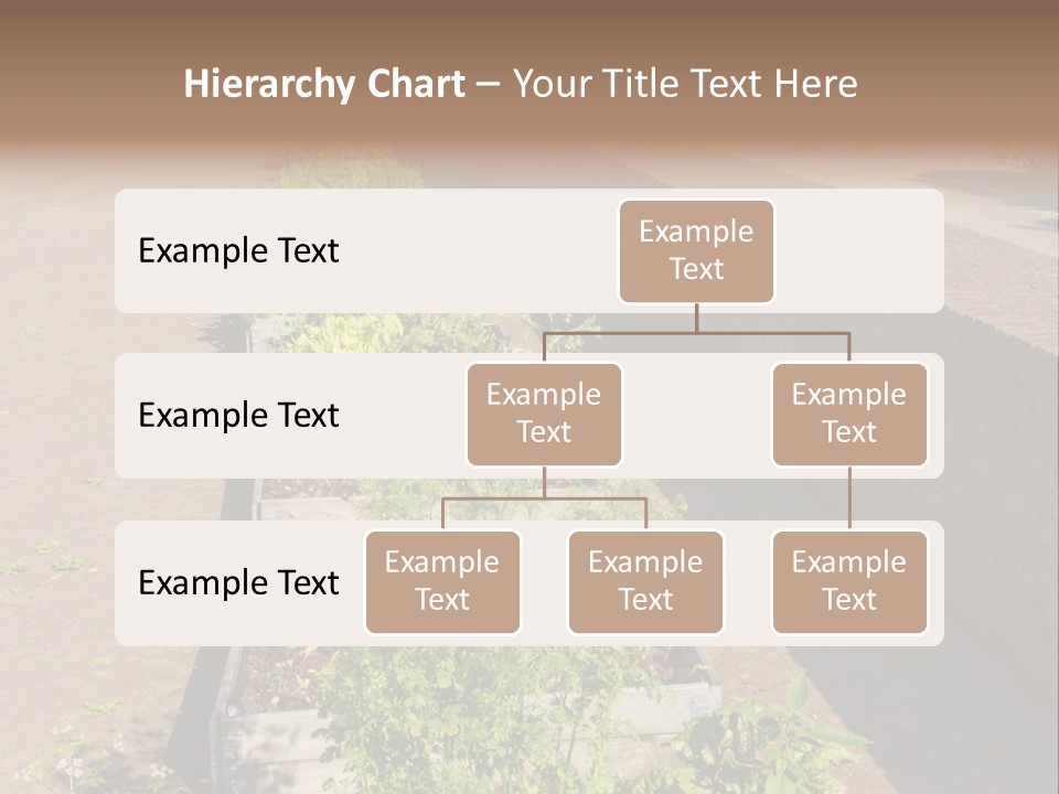 A Row Of Plants In Front Of A Brick Building PowerPoint Template