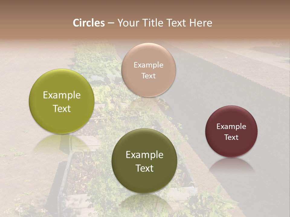 A Row Of Plants In Front Of A Brick Building PowerPoint Template